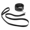 Menottes et collier de soumission