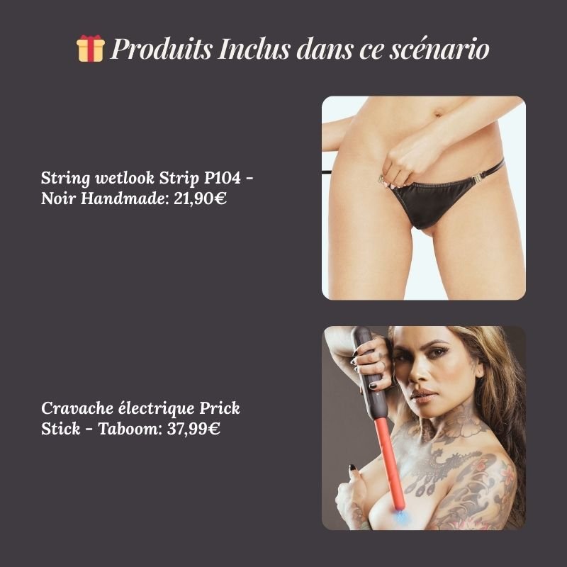 6 Scénario Premium – Domptée : Jeux de Pouvoir