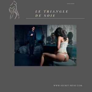 Scénario Immersif – Le Triangle de Soie