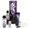 Coffret collection plaisirs charnels 5 produits Shunga + collier de perles